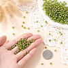 Picasso Baking Paint Glass Seed Beads SEED-TA0001-62E-5