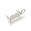304 Stainless Steel Micro Pave Cubic Zirconia Pendants STAS-H228-01P-01-2
