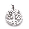 Non-Tarnish 304 Stainless Steel Pendants LS-STAS-F219-08P-1