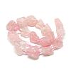 Natural Rose Quartz Beads Strands G-R421-02-2