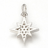 Brass Micro Pave Cubic Zirconia Charms ZIRC-Q015-041P-2