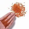 8/0 Glass Seed Beads SEED-US0003-3mm-29-4
