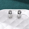 304 Stainless Steel Clear Cubic Zirconia Hoop Earrings EJEW-D331-08B-P-5