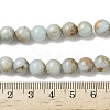 Natural Shoushan Stone Beads Strands G-B155-A01-8mm-4