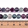 Natural Rainbow Fluorite Beads Strands G-T140-22B-5