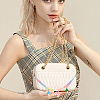 2Pcs 2 Style Rainbow Color Acrylic Curban Chain Bag Handles FIND-WR0006-44-5
