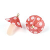 Plastic Pendants KY-N015-118B-01-2