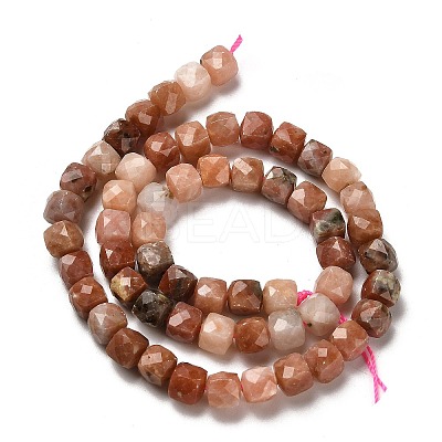 Natural Plum Blossom Jasper Beads Strands G-H078-C31-01-1