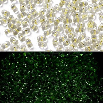 Luminous Glass Seed Beads SEED-A033-07K-1