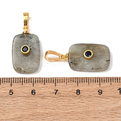 Natural Labradorite Pendants G-P628-01G-04-1