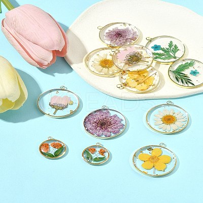 12Pcs 6 Styles Transparent Clear Epoxy Resin Pendants RESI-FS0001-88B-1