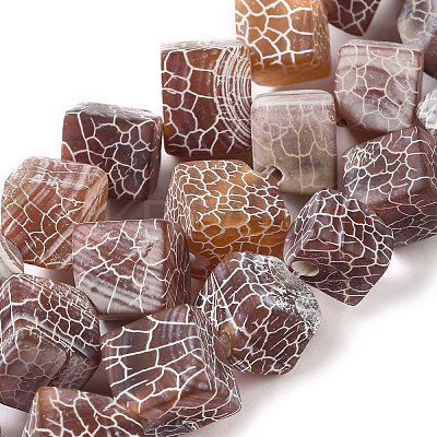 Natural Weathered Agate Beads Strands G-Q169-C04-02A-1