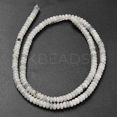 Natural Labradorite Beads Strands G-L635-A05-4x2mm-1