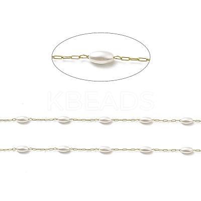Ion Plating(IP) 316 Surgical Stainless Steel Paperclip Chains CHS-I019-11G-01-1