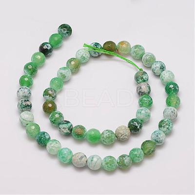 Natural Fire Crackle Agate Bead Strands G-G882-8mm-B01-1