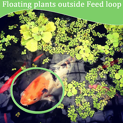 2 Sets 2 Colors EVA Foam Feeding Ring for Fish AJEW-CN0002-53-1