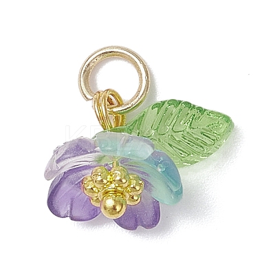 Transparent Resin & Acrylic Pendants PALLOY-JF04358-1