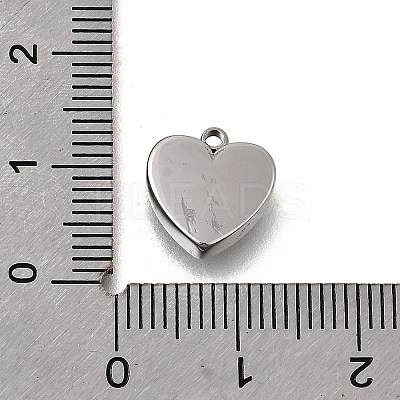 304 Stainless Steel Charms STAS-F318-11A-P-1