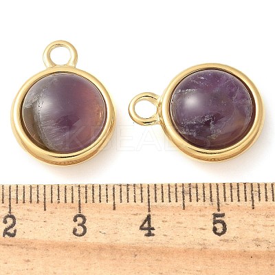 Ion Plating(IP) 304 Stainless Steel with Amethyst Pendants STAS-Q345-11G-02-1