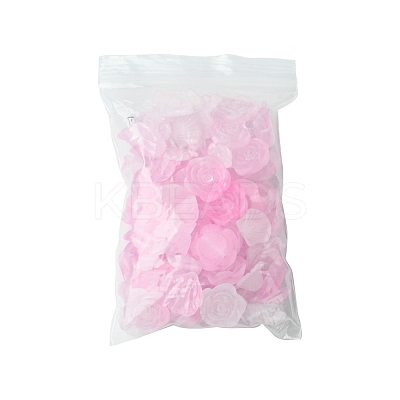 60G Transparent Acrylic Beads OACR-FS0001-90A-1
