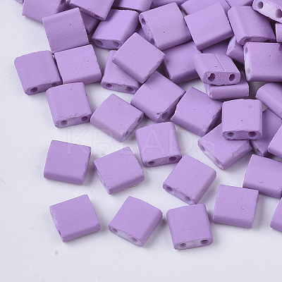 2-Hole Glass Seed Beads SEED-S023-31C-10-1