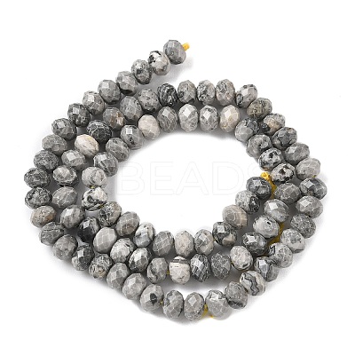 Natural Map Stone/Picasso Stone/Picasso Jasper Bead Strands G-D344-A18-1