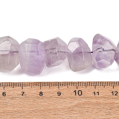 Natural Amethyst Nuggets Bead Strands G-P082-15-1