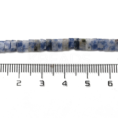 Natural Blue Spot Jasper Beads Strands G-Z045-A08-01-1