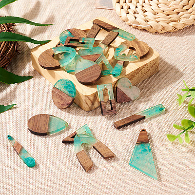 20Pcs 10 Styles Transparent Resin & Walnut Wood Big Pendants RESI-TA0002-99A-1