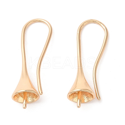 Brass Earring Hooks KK-Q770-10G-1