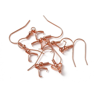 304 Stainless Steel Earring Hooks STAS-WH0035-14RG-1
