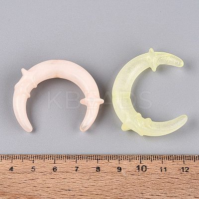 Transparent Acrylic Beads OACR-Q204-05-1