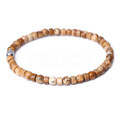 Natural Picture Jasper Beads Stretch Bracelets for Women Men PW-WG6A9BA-09-1