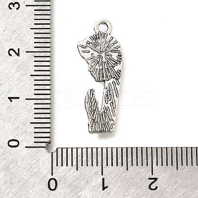Tibetan Style Alloy Pendants PALLOY-D291-20AS-1