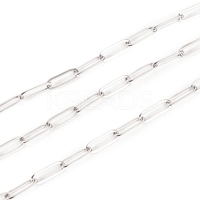 Non-Tarnish 3.28 Feet 304 Stainless Steel Paperclip Chains X-STAS-K209-07P-1