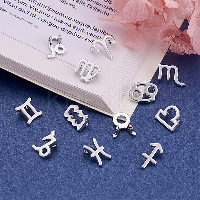 24Pcs 2 Sets Zinc Alloy Jewelry Pendant Accessories FIND-FW0001-08P-1