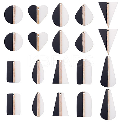20Pcs 10 Styles Resin & Natural Wood Pendants RESI-TA0004-48-1