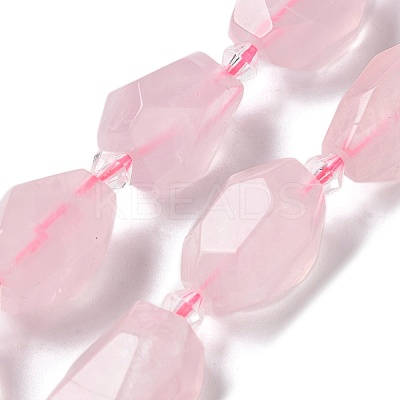 Natural Rose Quartz Beads Strands G-H095-A10-01-1