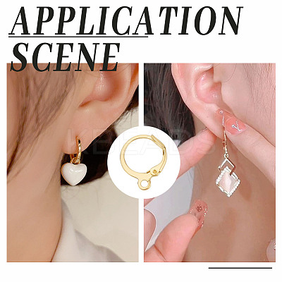 200Pcs 2 Colors Brass Leverback Earring Findings FIND-AR0004-93-1