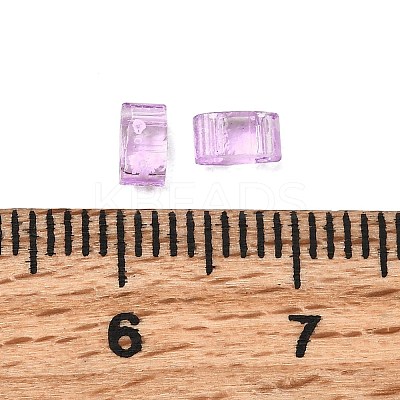 2-Hole Transparent Glass Seed Beads SEED-S023-30B-26-1