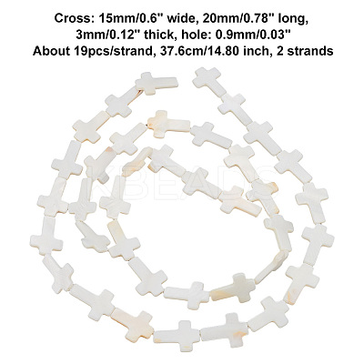 2 Strands Natural Freshwater Shell Beads Strands BSHE-BC0001-11-1