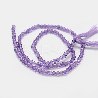 Natural Amethyst Bead Strands G-P271-3mm-09-1
