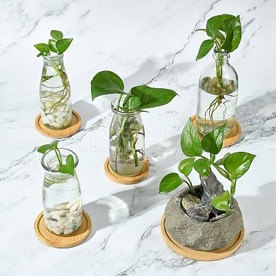 8Pcs 8 Styles Bamboo Round Plant Saucer AJEW-CJ0001-29-1