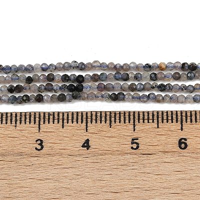 Natural Iolite Beads Strands LS-G-RM2025-A47-A-1