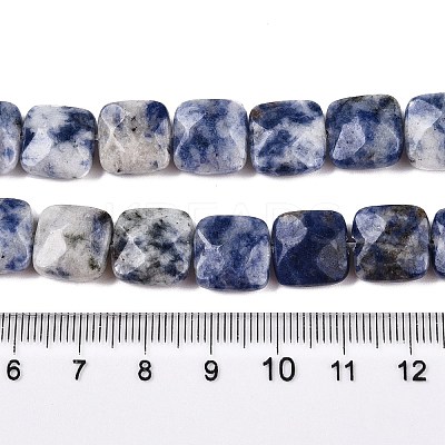 Natural Blue Spot Jasper Beads Strands G-T138-172-1