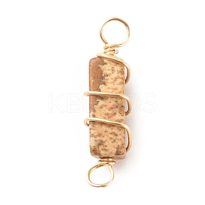 Natural Picture Jasper Connector Charms PALLOY-JF01580-04-1