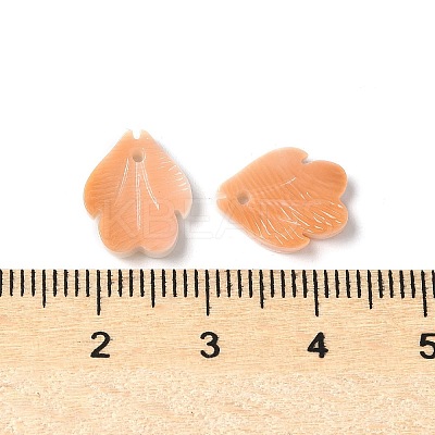 Natural Sea Shell Carved Leaf Charms SSHEL-C013-02B-1