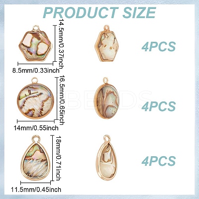 12Pcs 3 Styles Natural Paua Shell Resin Pendants KK-GO0001-82-1