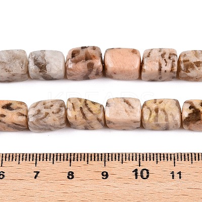 Natural Feldspar Beads Strands G-T138-84-1