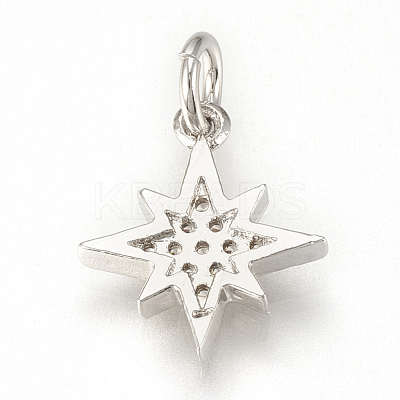 Brass Micro Pave Cubic Zirconia Charms ZIRC-Q015-041P-1